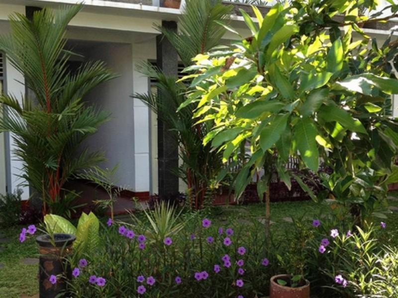 Mango Guesthouse Pangandaran Exterior photo